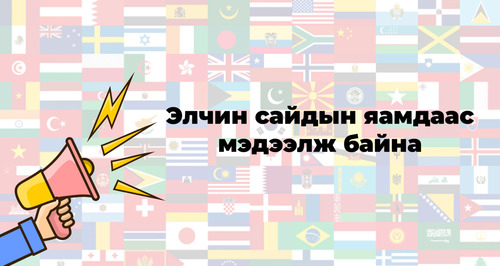 Элчин сайдын яамдаас мэдээлж байна